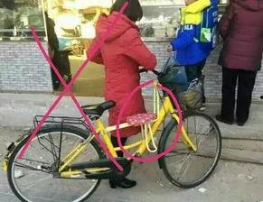 共享自行车爆料新闻报道,揭秘背后真相与困境  第1张